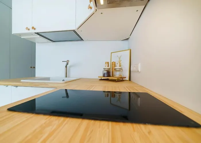 Stylish Studio In Central Vilnius II