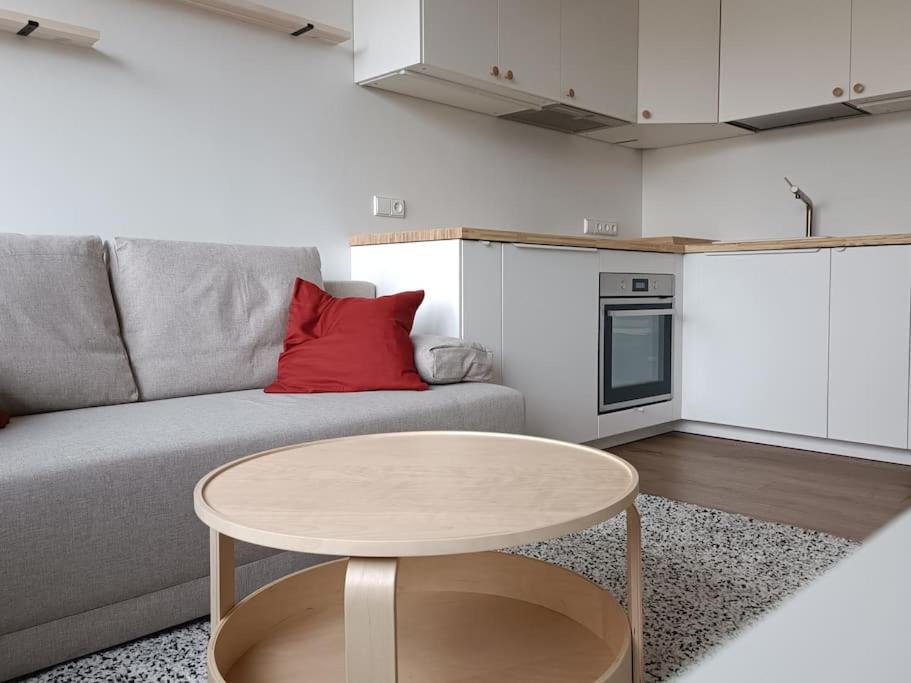 Stylish Studio In Central Ii Butas Vilnius